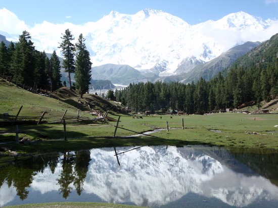 Beyal Camp Fairy Meadows in Fairy Meadows